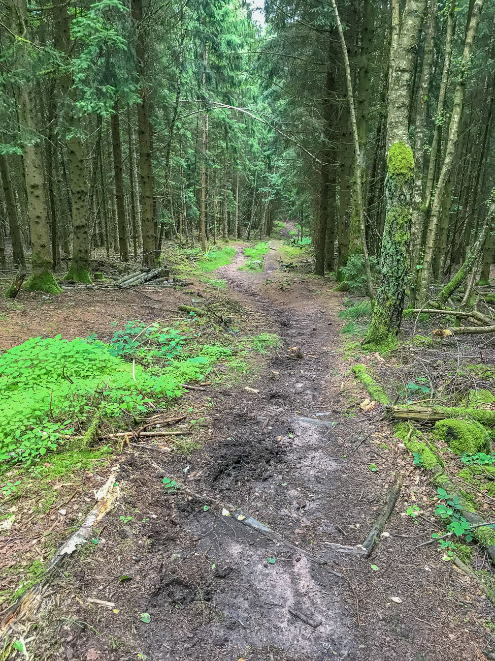 Das ist der harmlose Teil des schlammigen Pfades