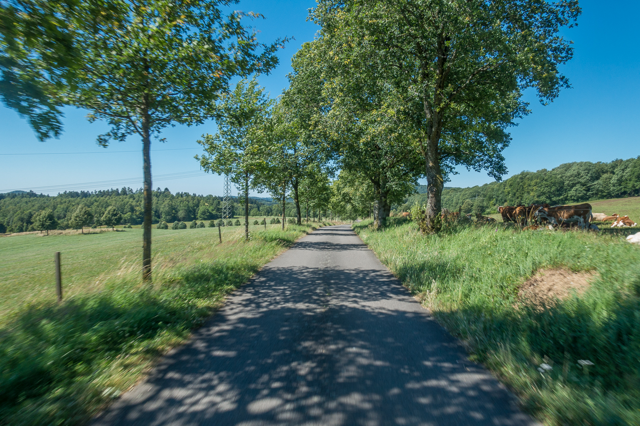 Allee zum Hofgut Imsbach