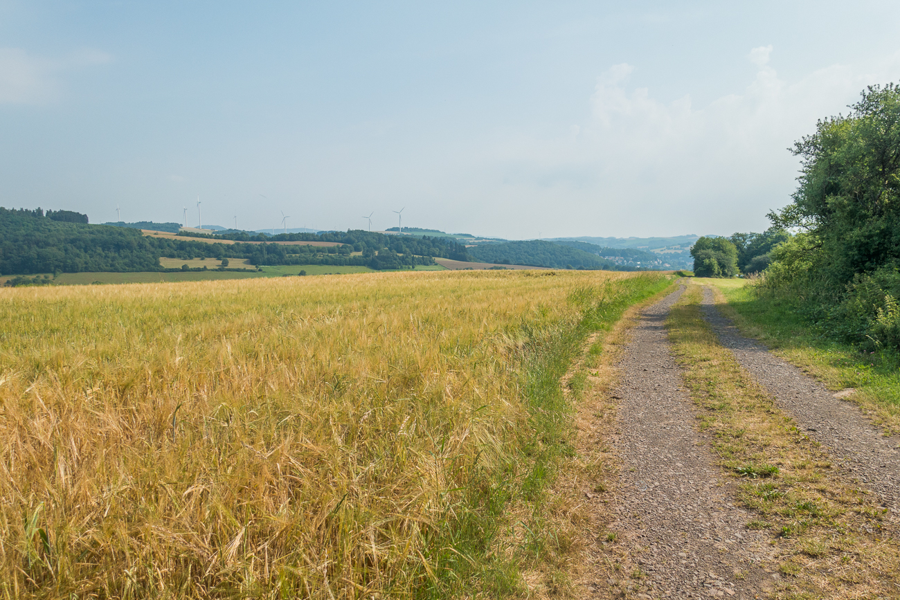 Auf einem Feldweg