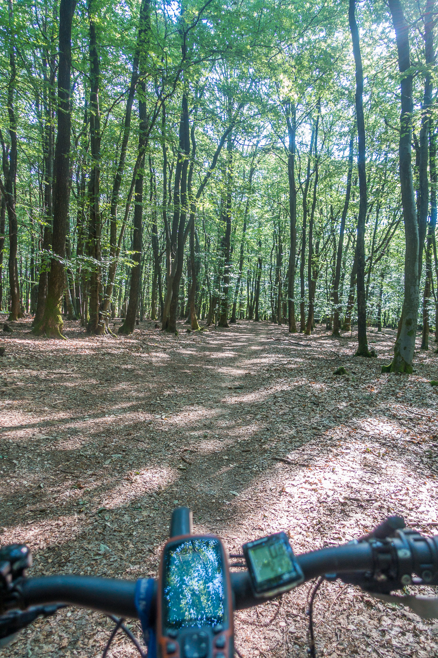 Endlich mal wieder bergab