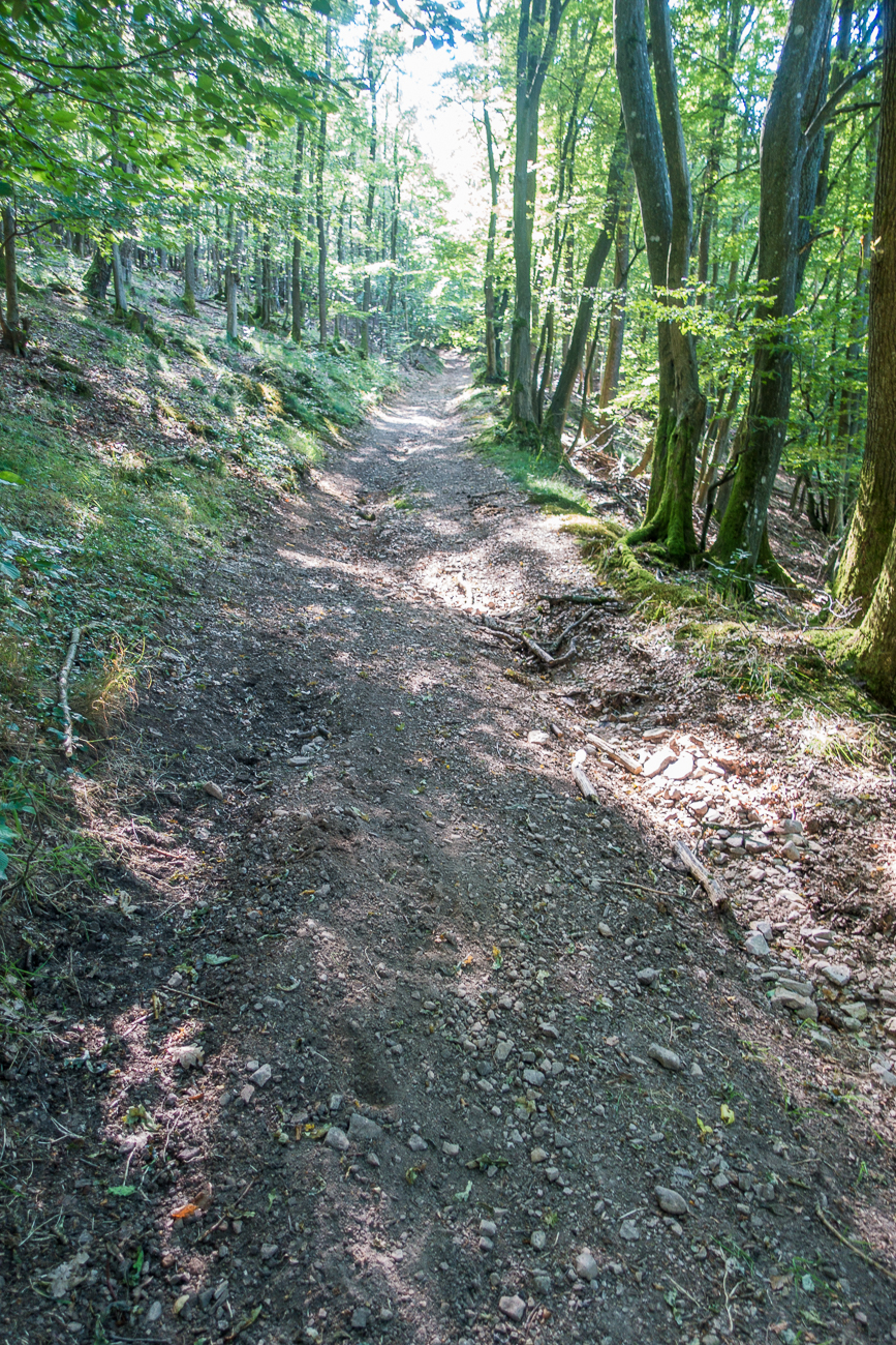Hohle Gasse nach oben, steiler als es auf dem Foto wirkt