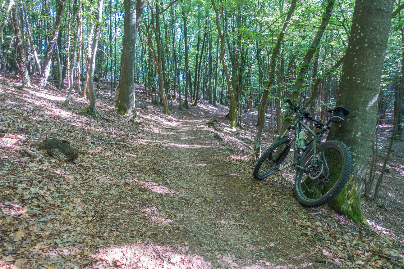 Kleine Panne: Ein Stein hat sich zwischen Hinterreifen und Rahmen verklemmt :-(