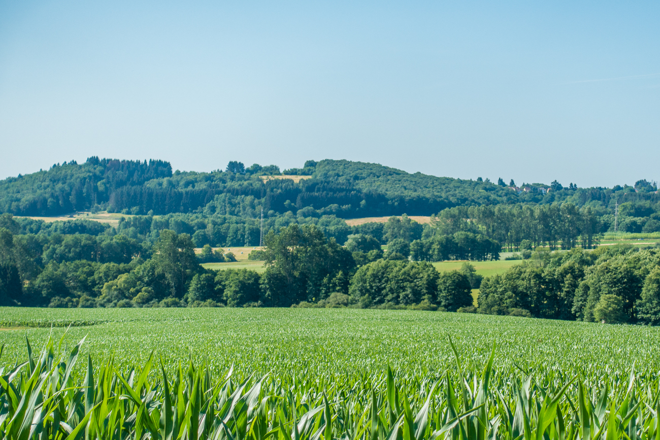 Einfach nur Landschaft