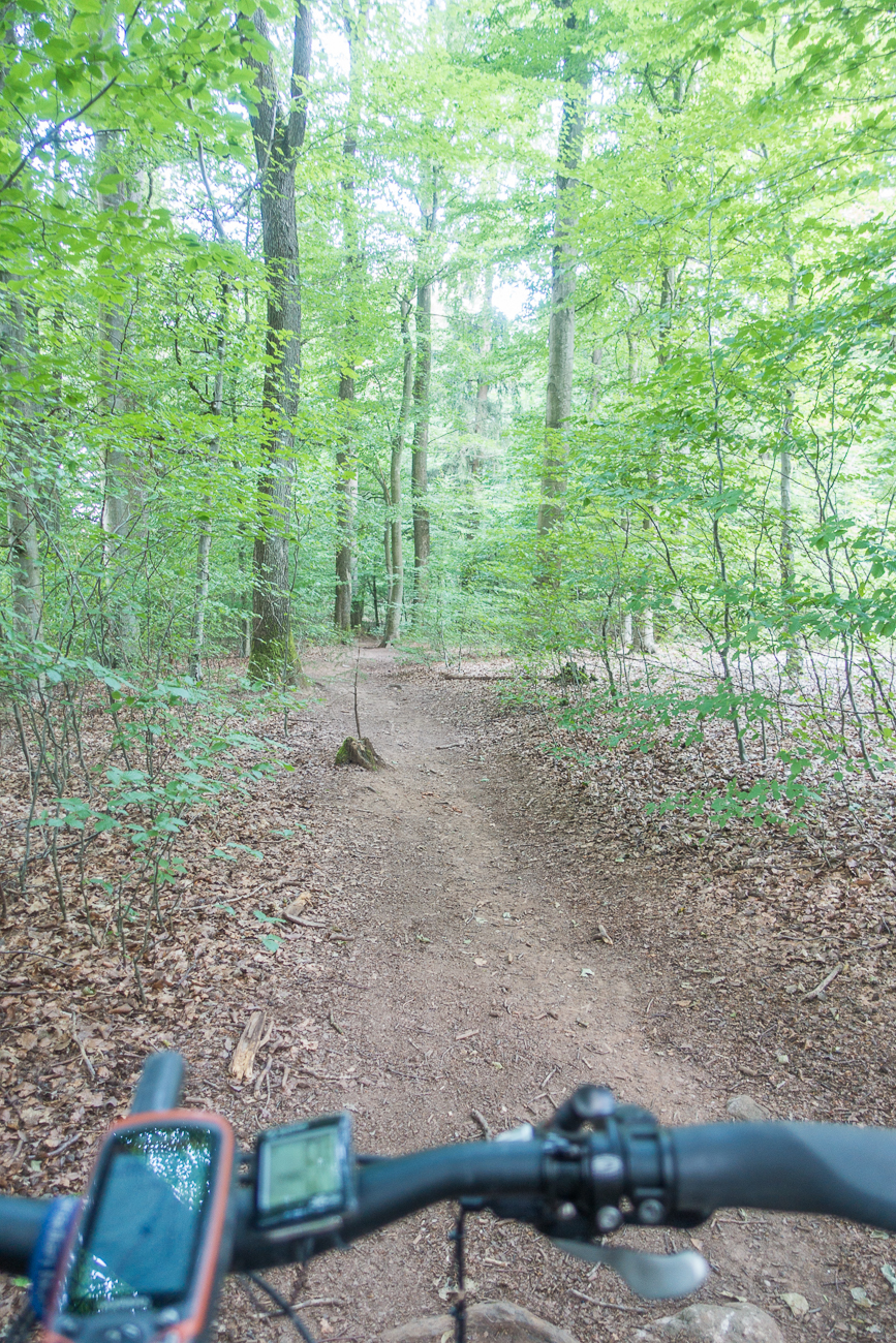 Leichter Singletrail