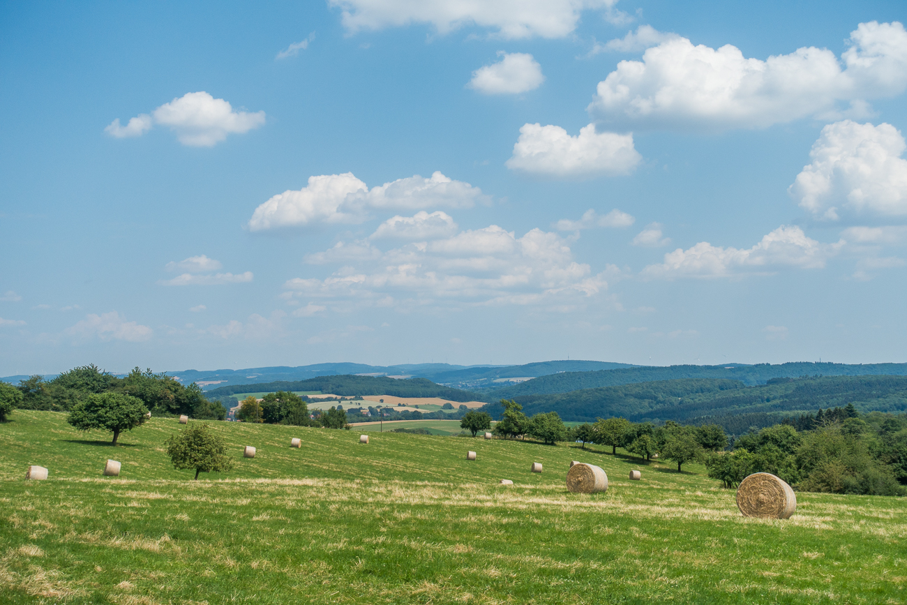 Sch&ouml;ne Landschaft