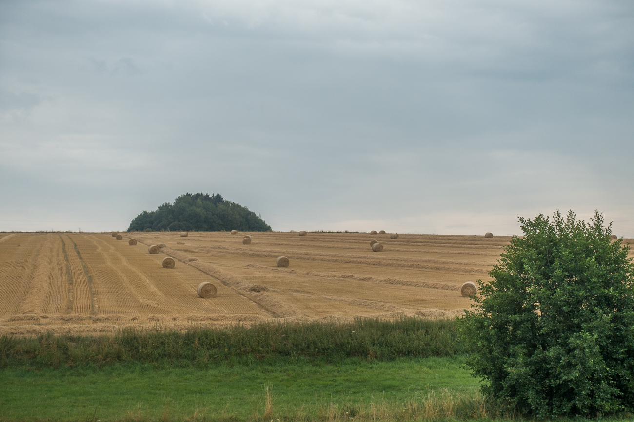 Strohballen auf den abgeernteten Feldern