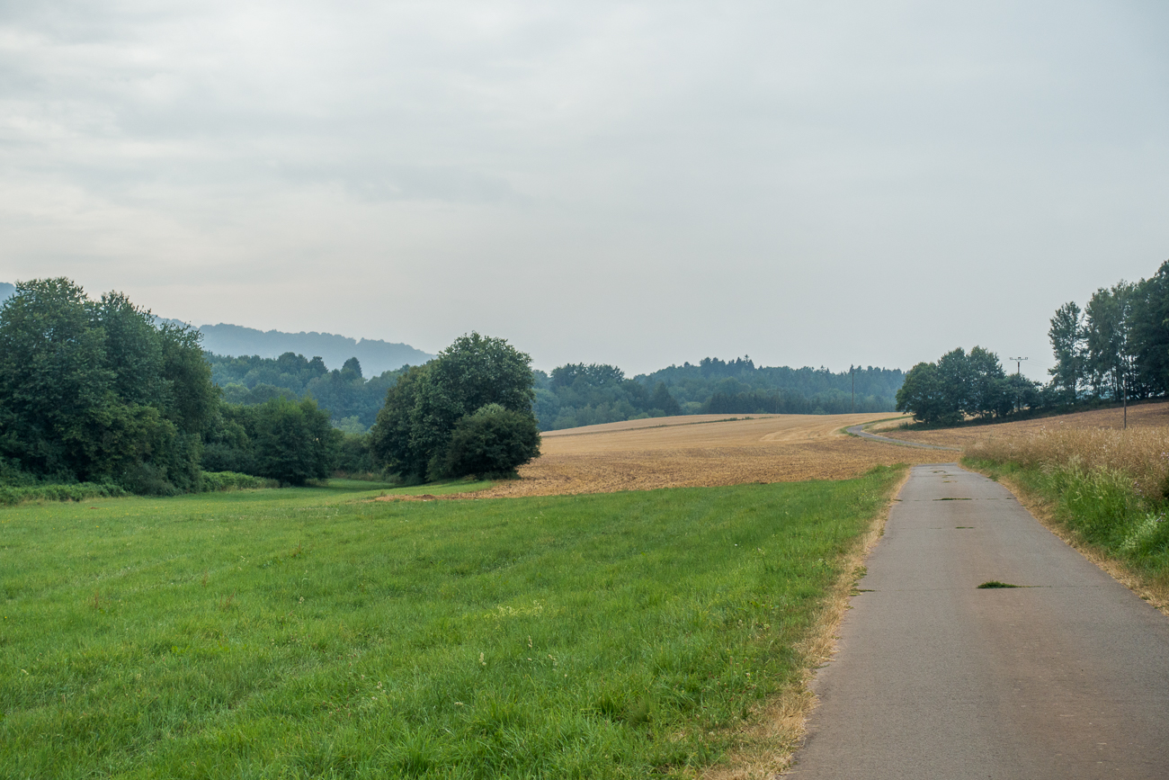 Feldweg mit Gegenwind :-(