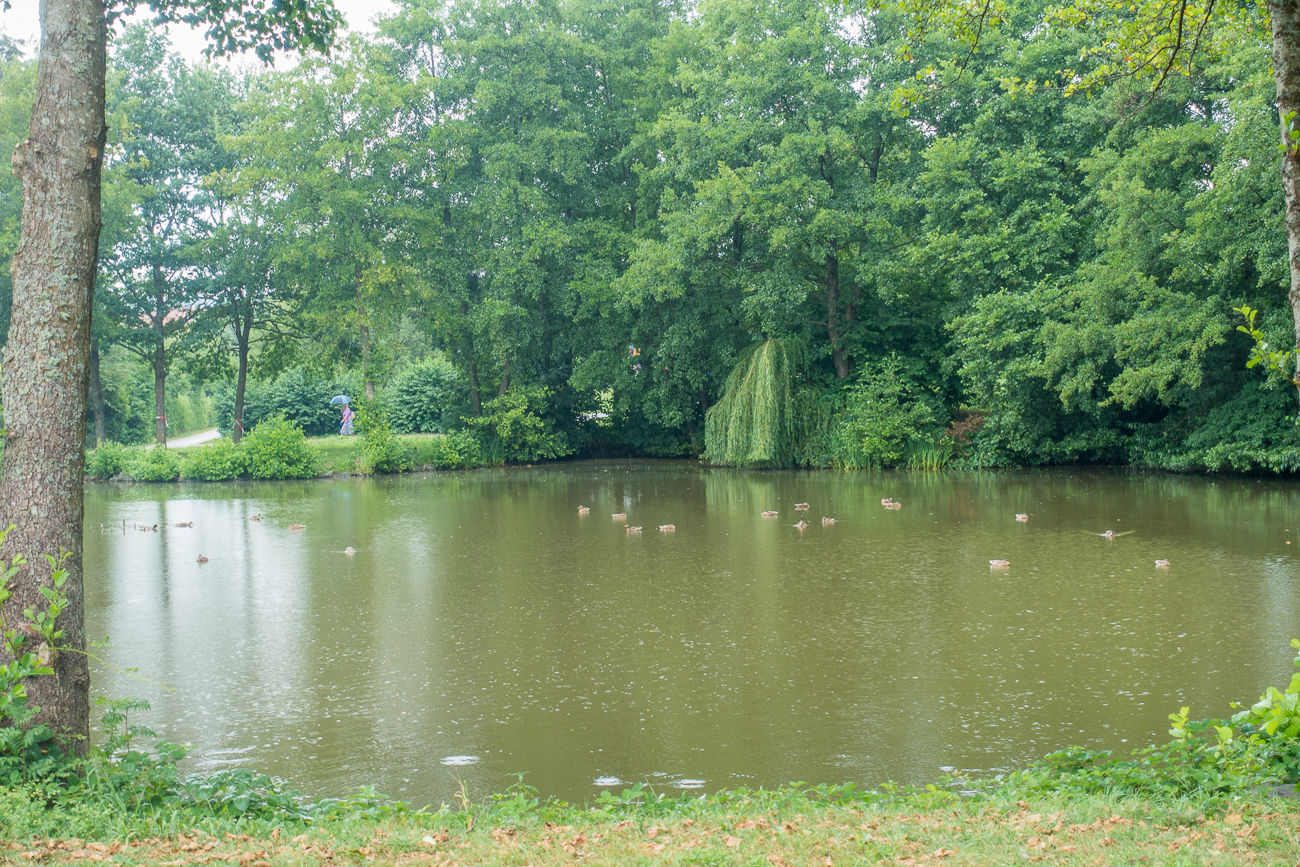 Hier sieht man die Regentropfen auf dem Wasser