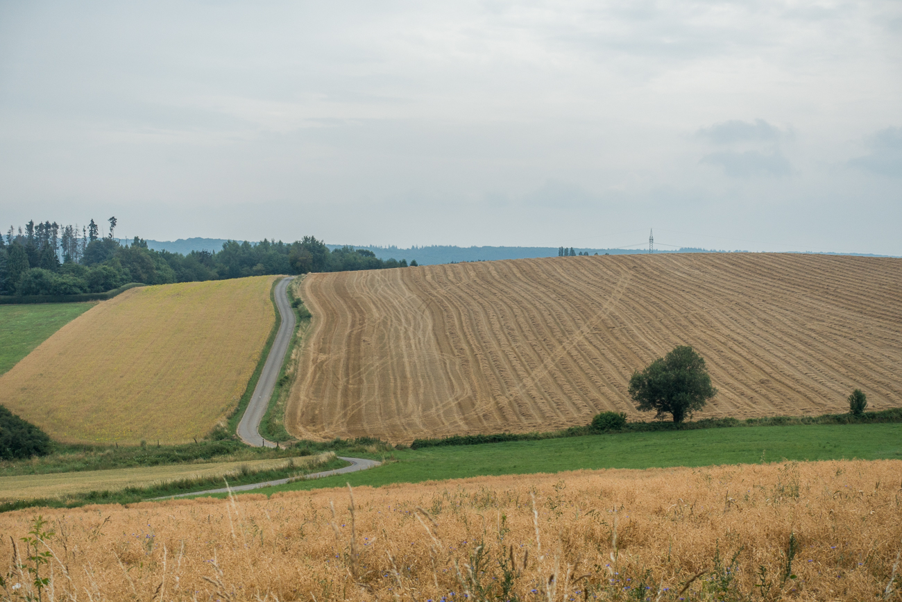Auf bergab folgt bergauf