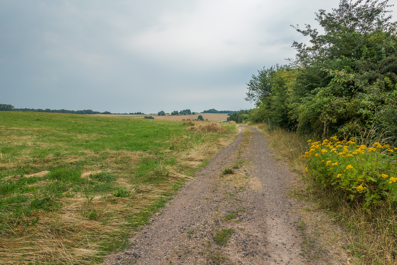 Auf Feldwegen steige ich den ersten Berg hinauf