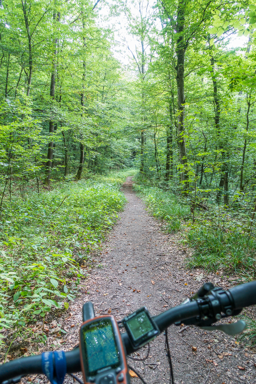 Auf Trails wieder durch den Wald