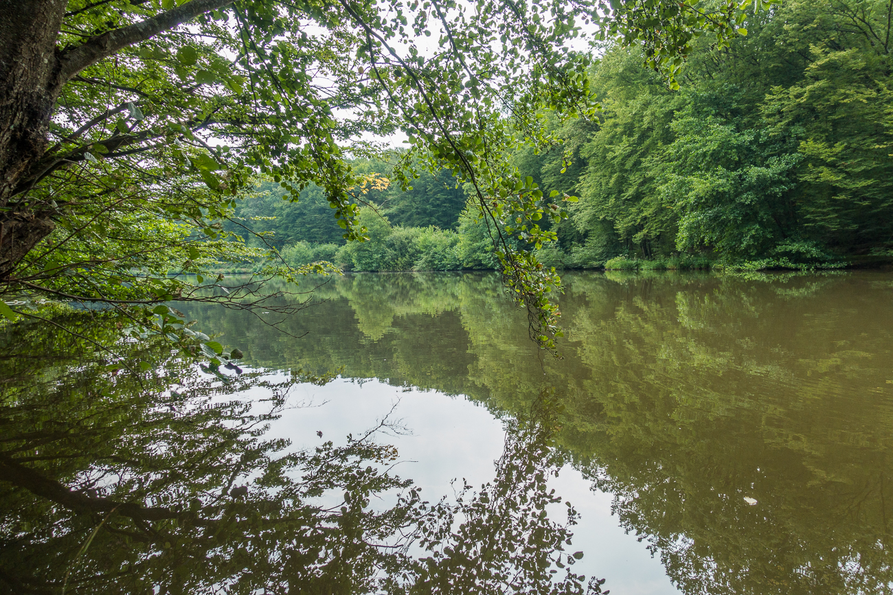 Einer der zahlreichen Teiche am Weg
