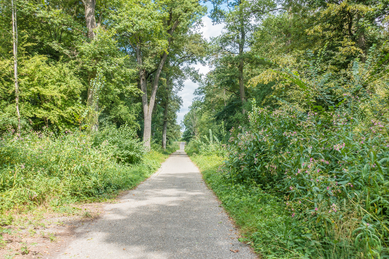Zun&auml;chst auf schmalen Pfaden ...