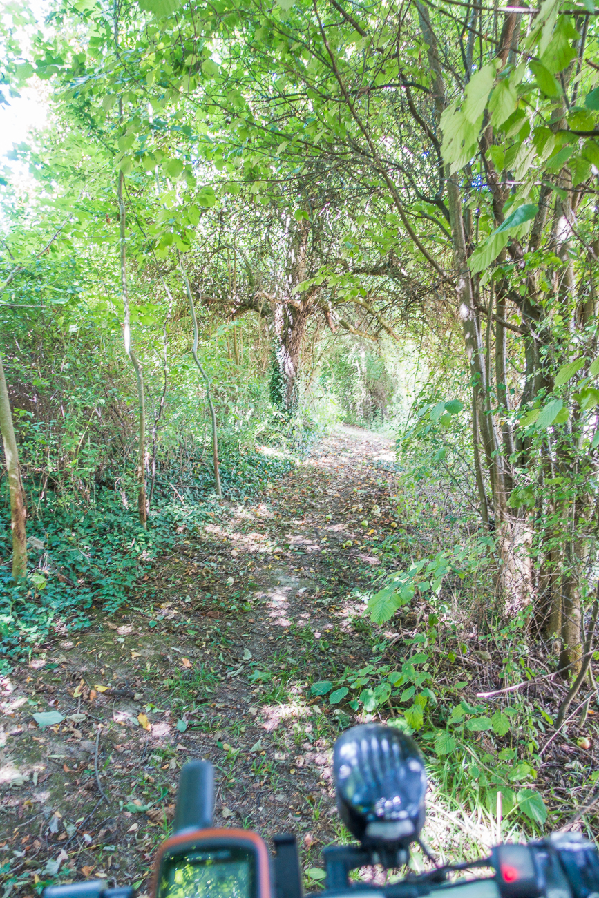 Einmal war der Weg auch dschungel&auml;hnlich ;-)