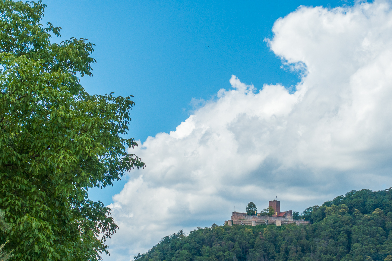 Burg Landeck