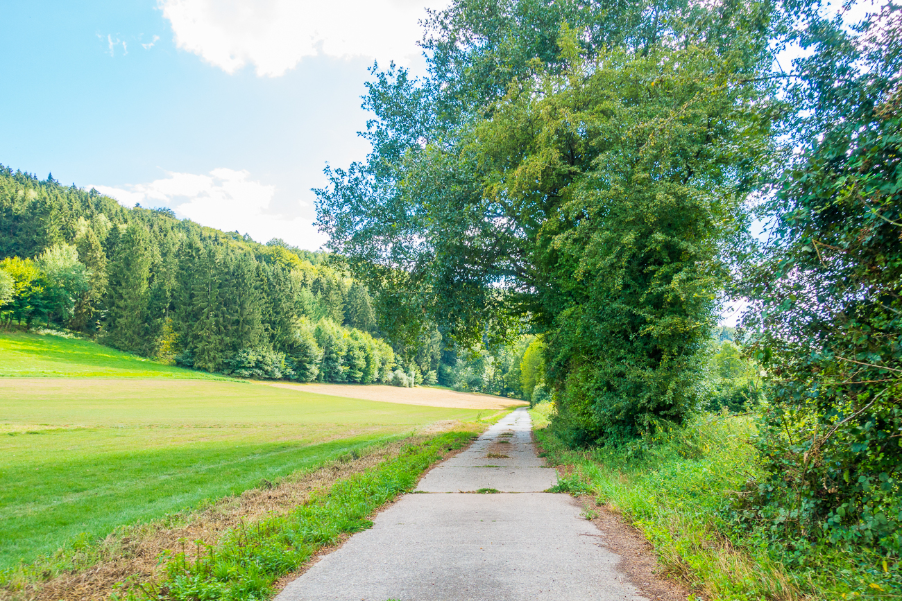 Auf Wirtschaftswegen am Schwarzbach entlang