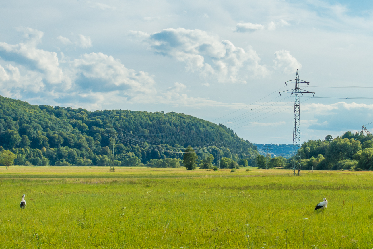 St&ouml;rche an der Blies