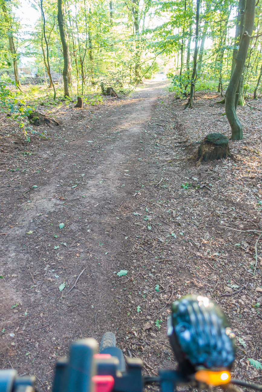 Am Schluss noch durch ein Waldst&uuml;ck