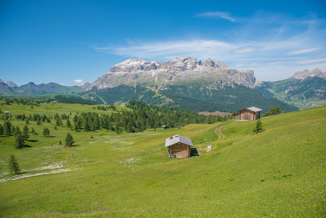 Wiese mit Scheunen und Bergpanorama