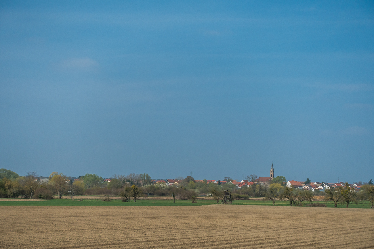 Rheinland-Pfalz 2020