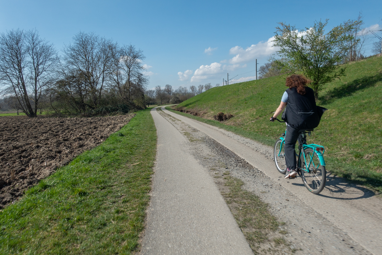 Wieder Richtung Rheinbr&uuml;cke