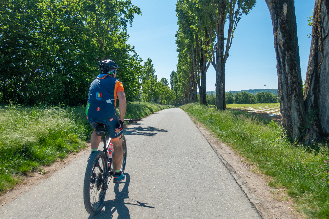 Am Golfplatz bei Palmbach