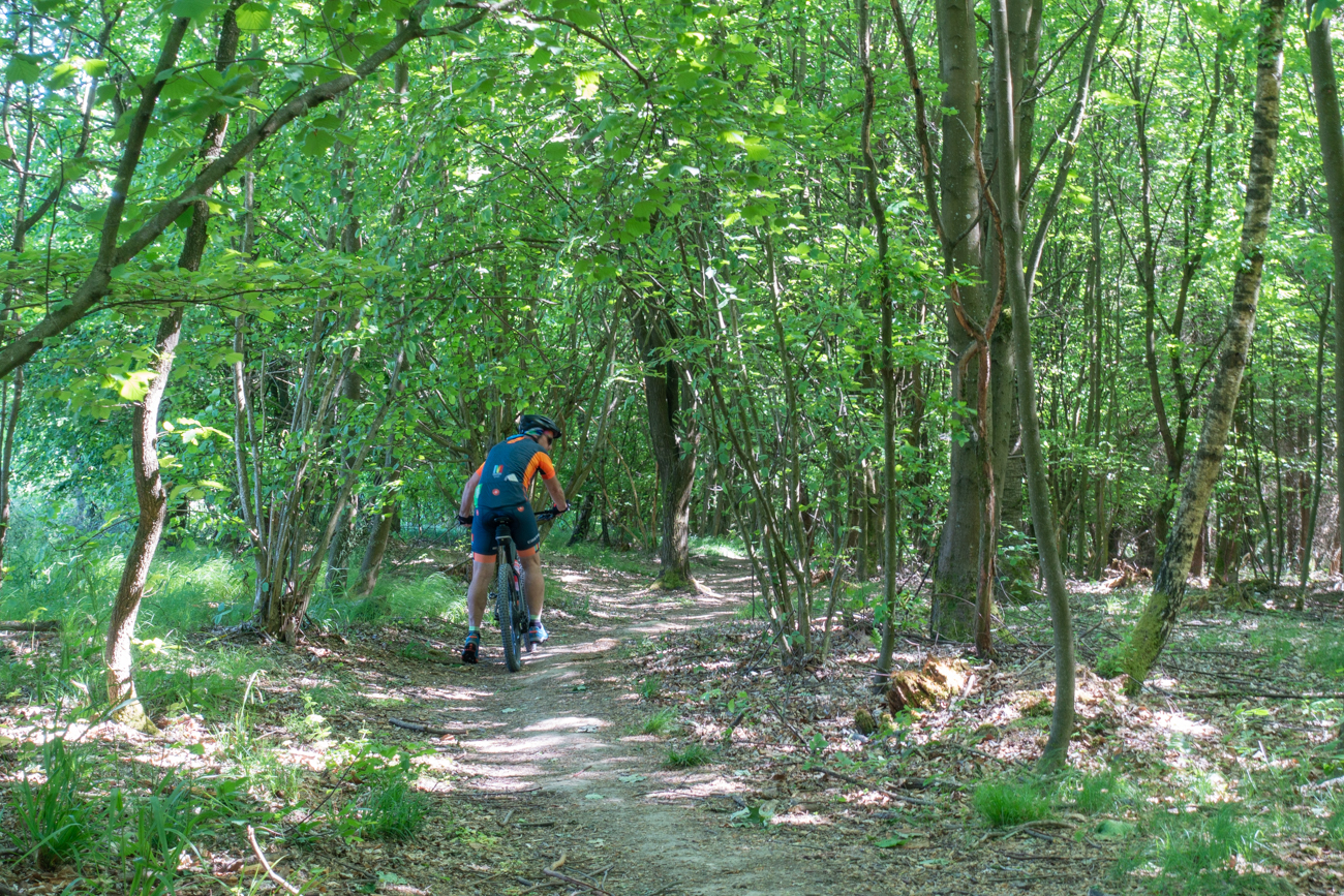 Einen sch&ouml;nen Singletrail haben die "&auml;lteren Herren" nat&uuml;rlich nicht verschm&auml;ht ;-)