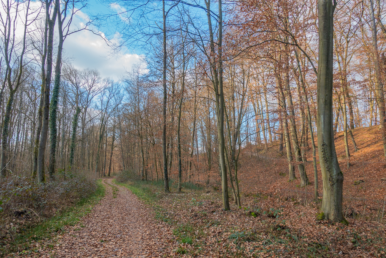 Wenn es jetzt noch etwas w&auml;rmer w&auml;re