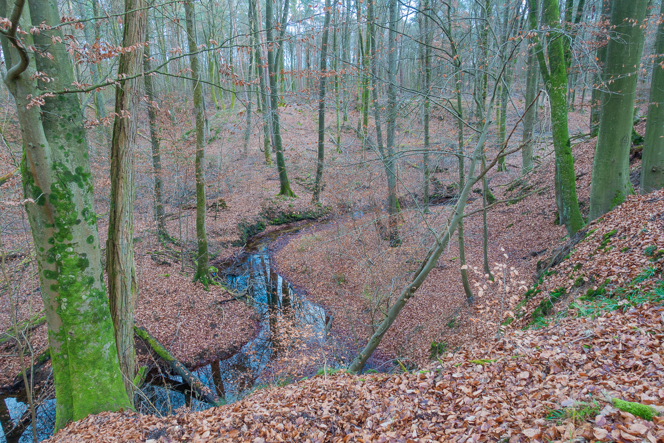Noch sind die hier &uuml;blichen Schnaken nicht aus dem Wasser ;-)