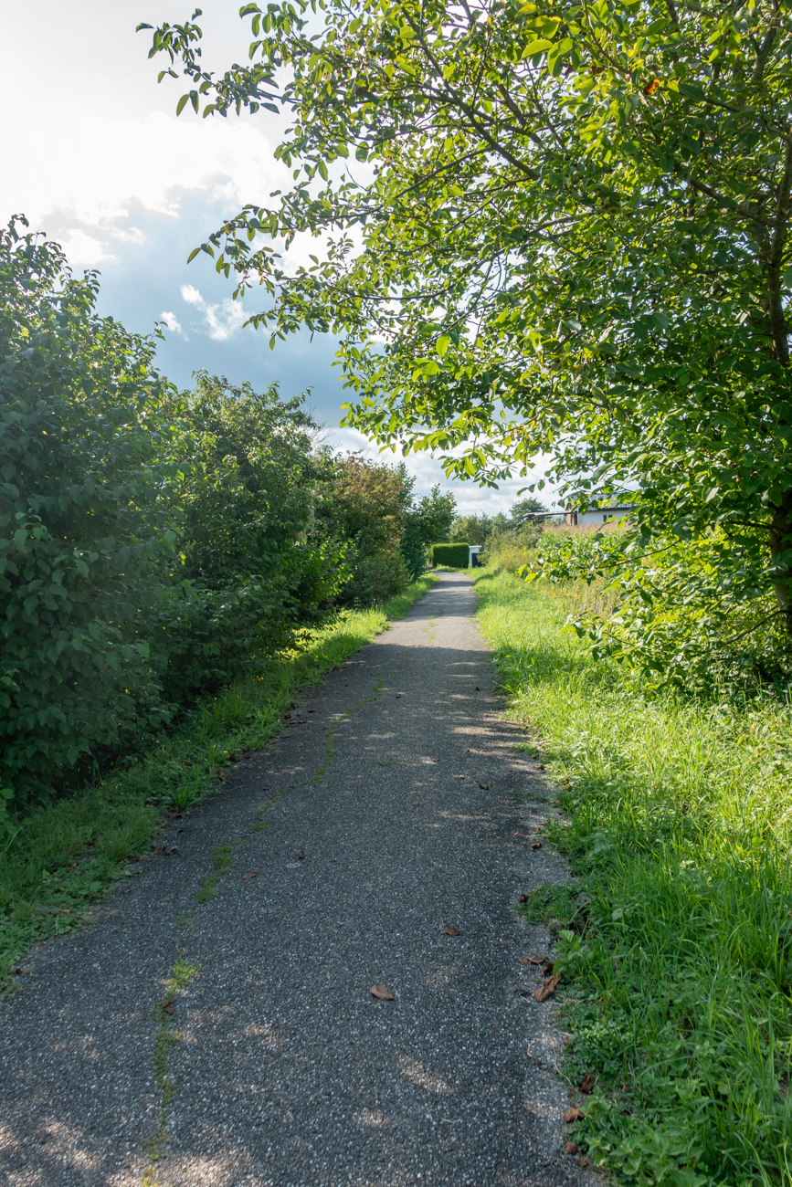 Schmaler Weg nach Berg