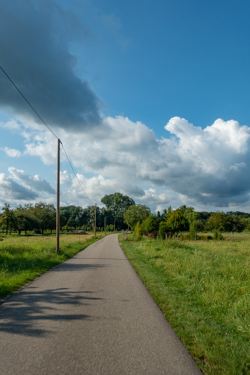 Ein Wirtschaftsweg f&uuml;hrt aus Berg hinaus