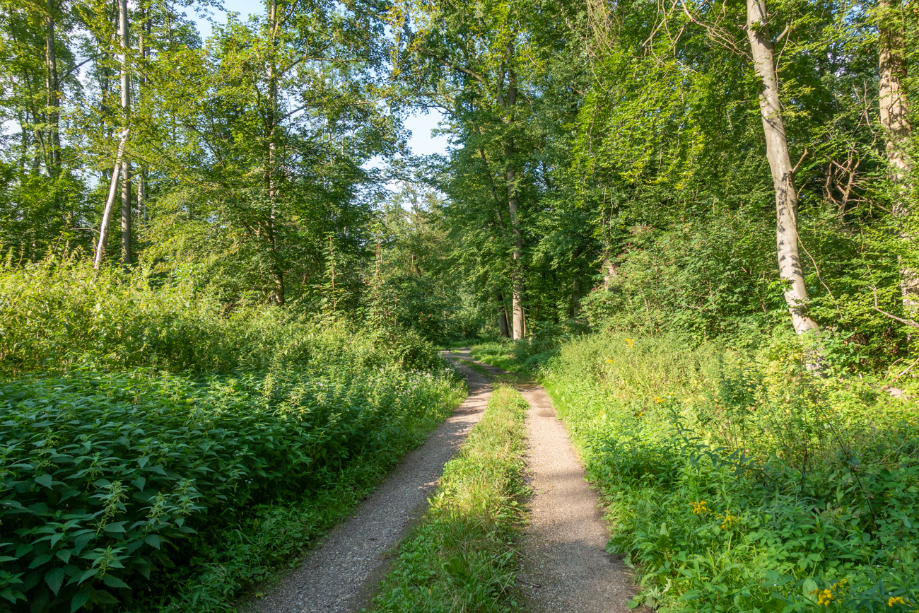 ... sonst fressen einen die Moskitos auf :-(