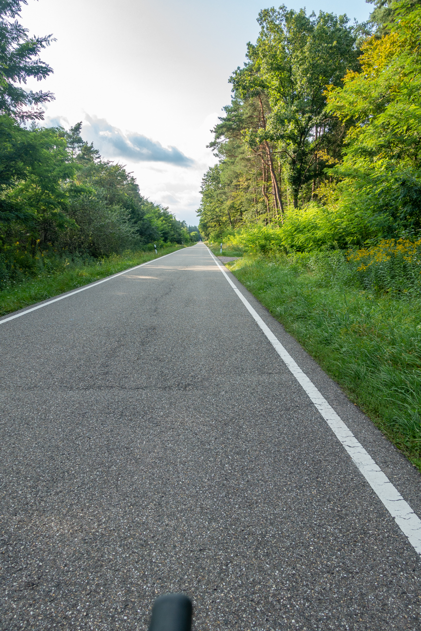 Zum Gl&uuml;ck muss ich diese langweilige Stra&szlig;e nur kreuzen