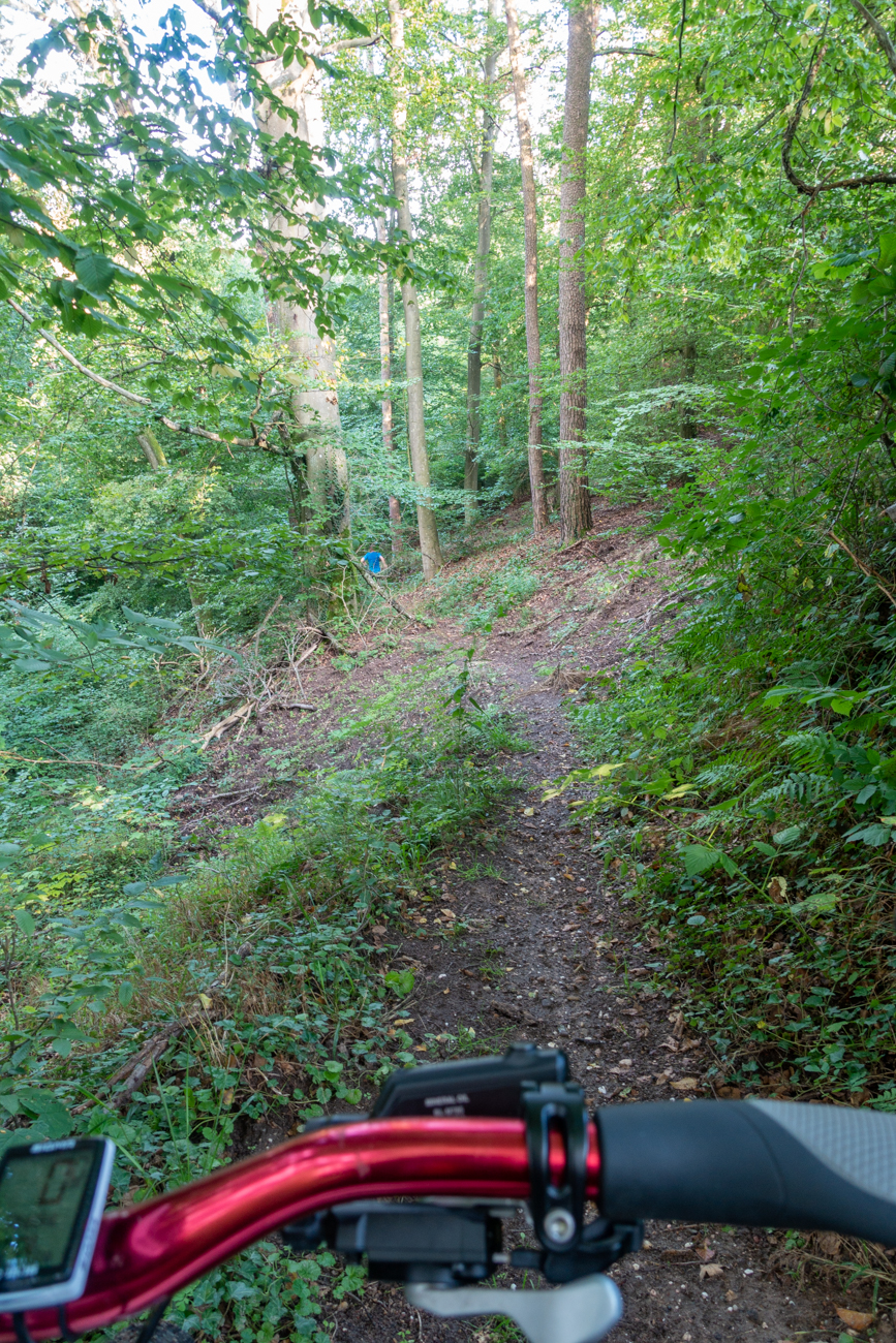 Auf dem Single-Trail warten die Brennessel auf meine Beine :-(