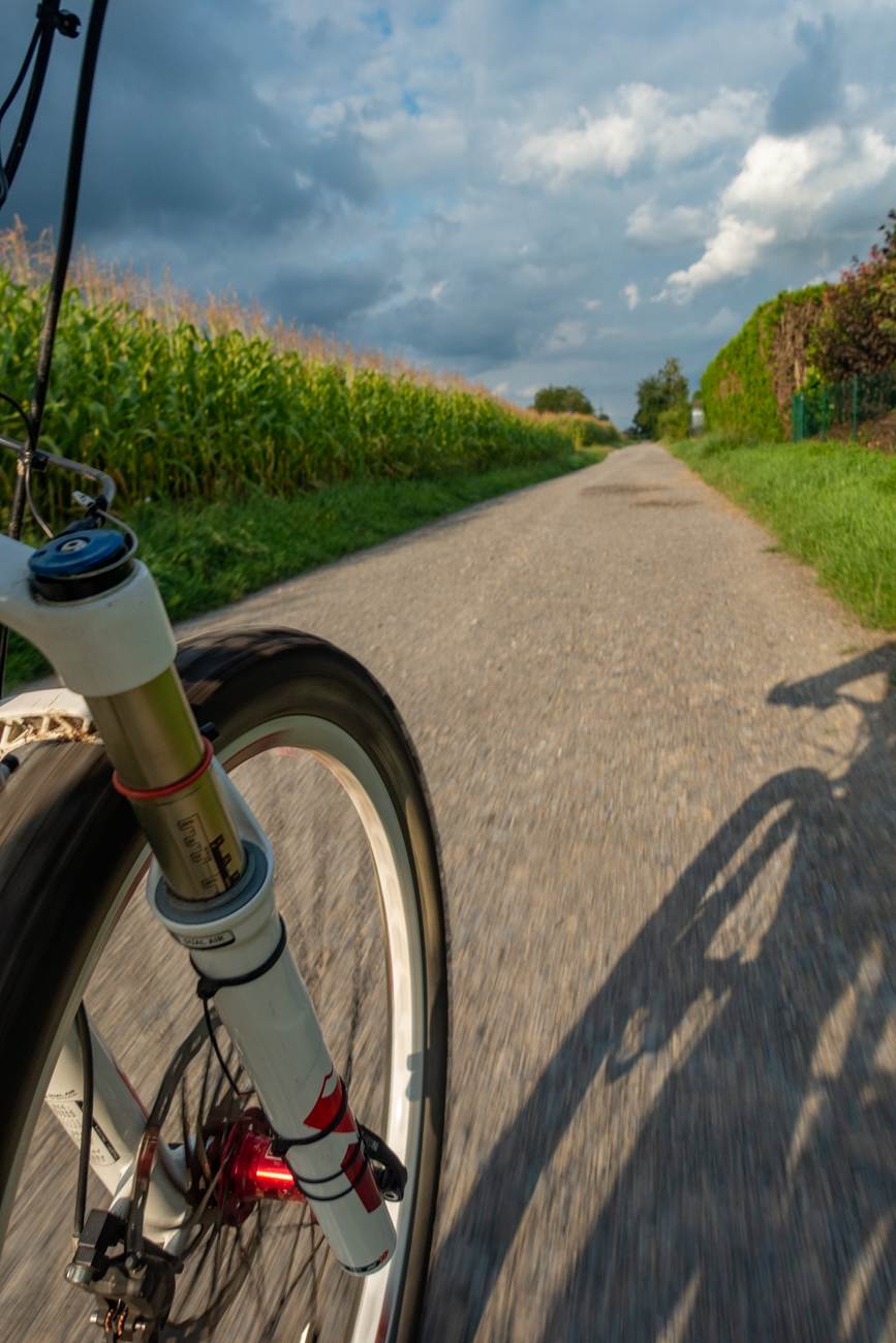 Es f&auml;ngt an zu regnen, jetzt aber schnell heim