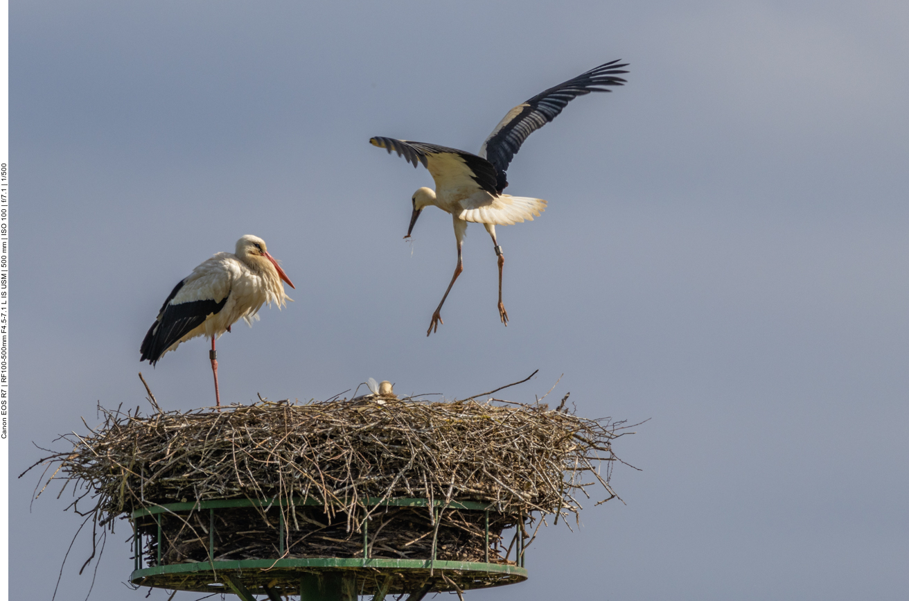 Hier werden Flug&uuml;bungen durchgef&uuml;hrt