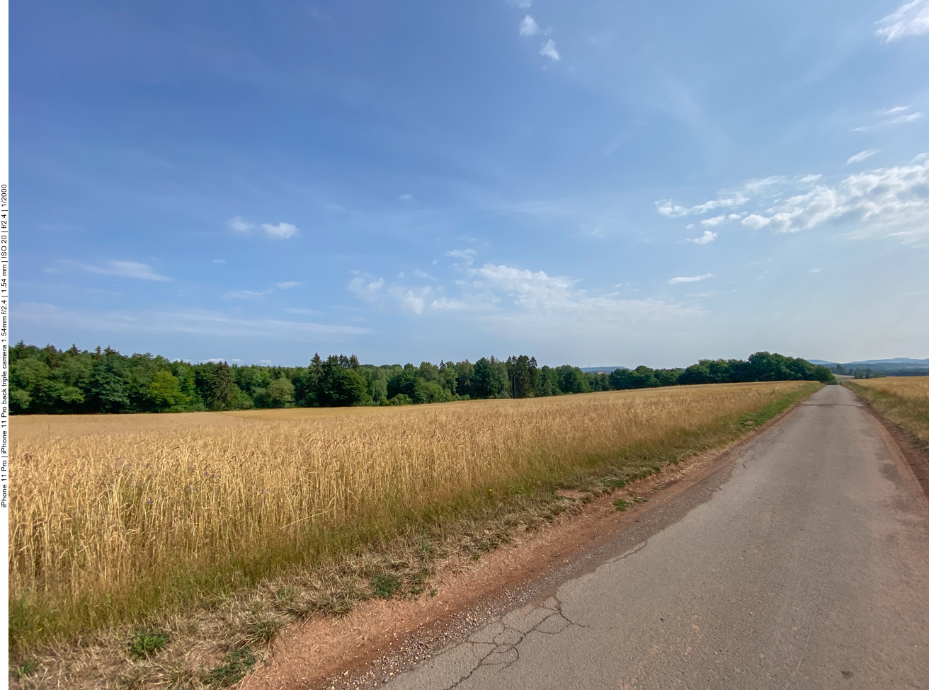 Das Korn reift heran