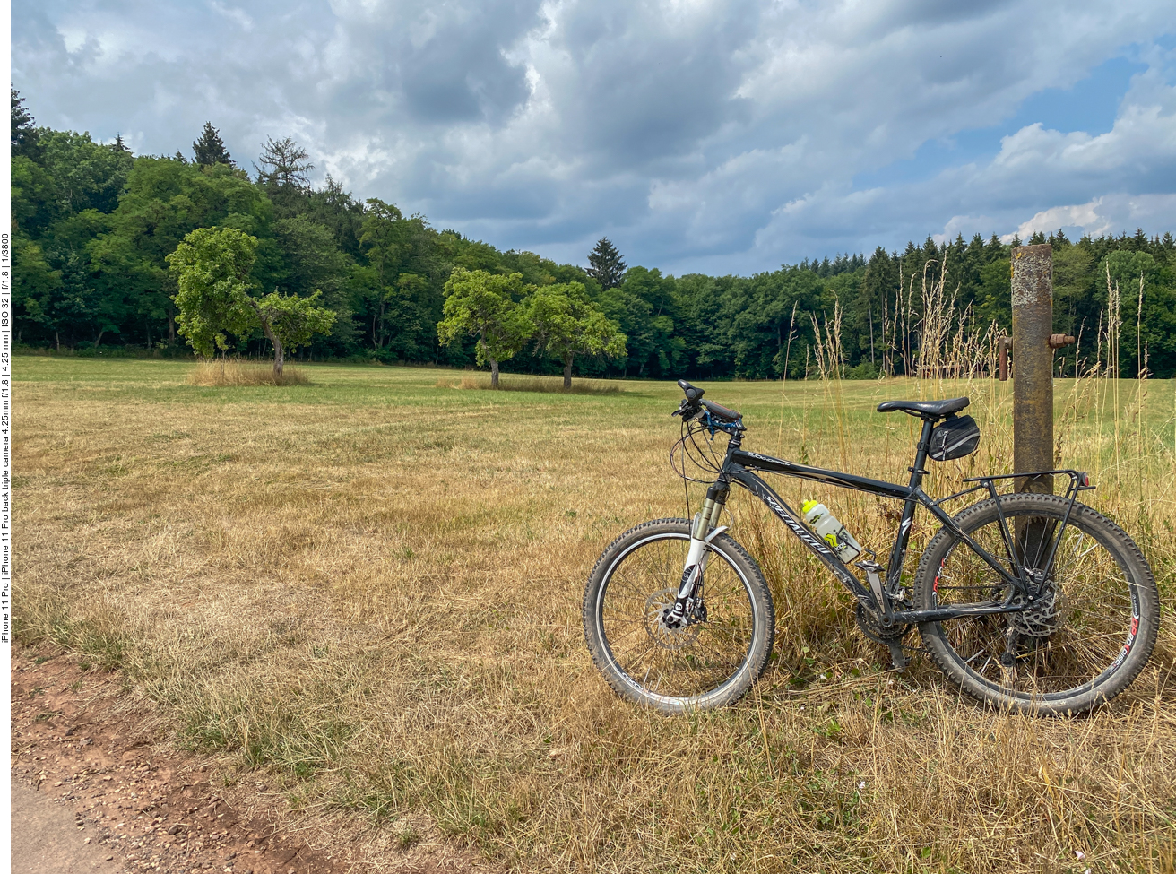 Der derzeitige Saarland-Esel ;-)