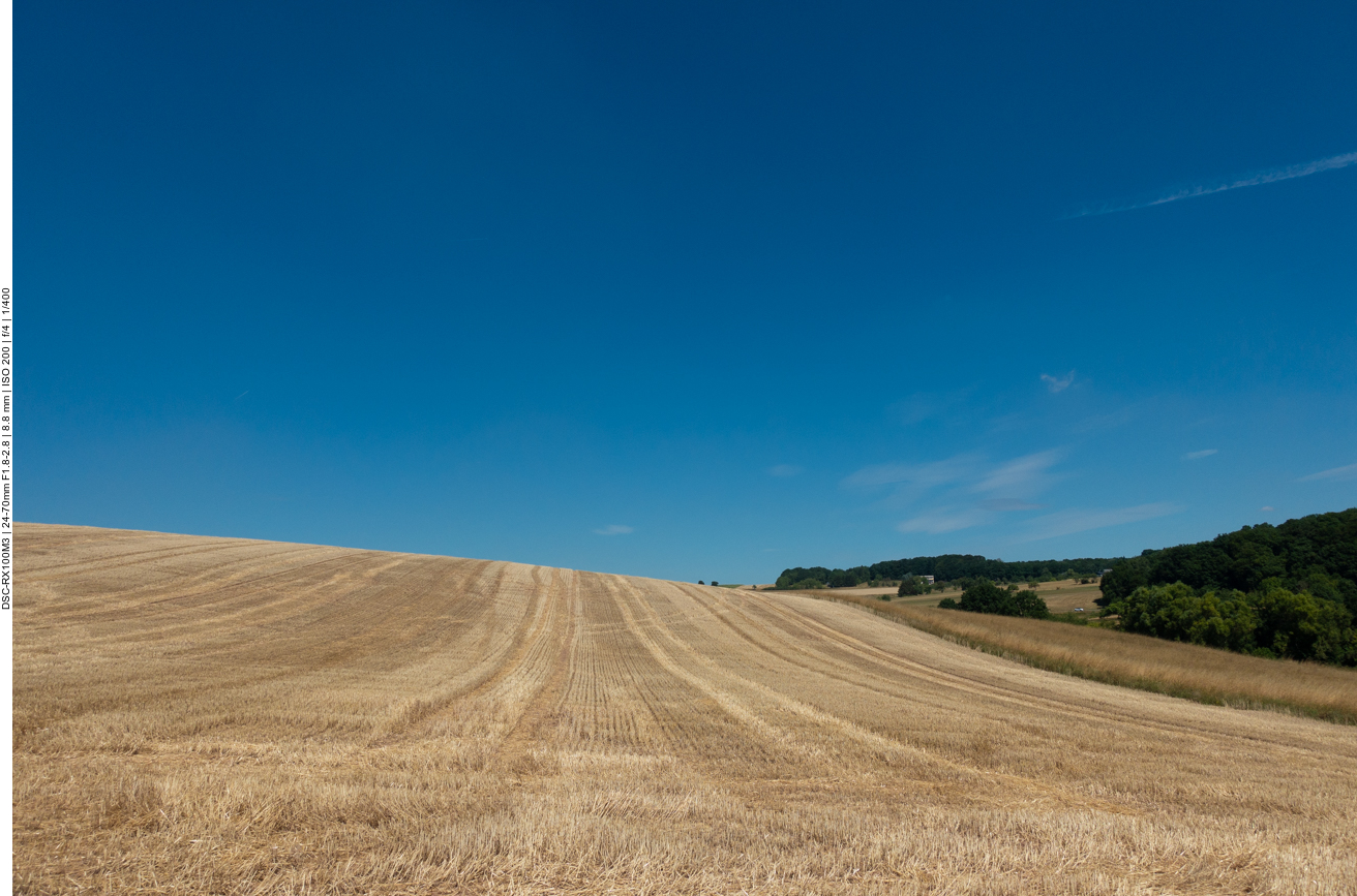 Kornfeld und bewaldete H&uuml;gel