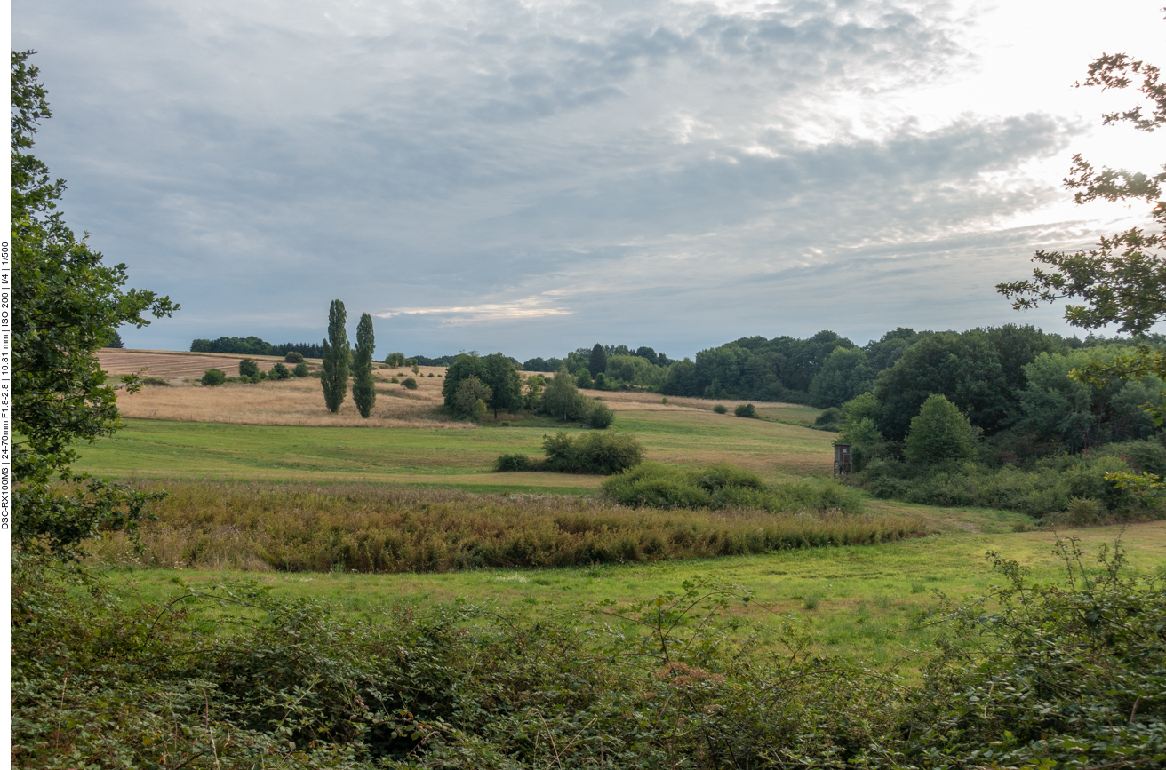 R&uuml;ckfahrt durch Feld ...