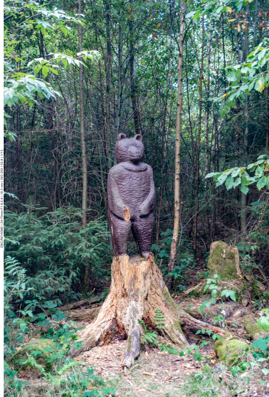 B&auml;ren lauern auf einsame Radler ;-)
