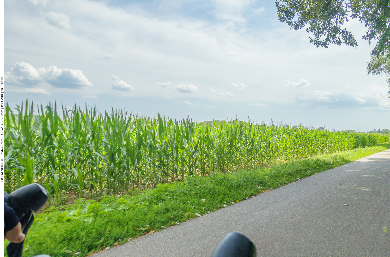 Ab hier zum Gl&uuml;ck wieder trocken 