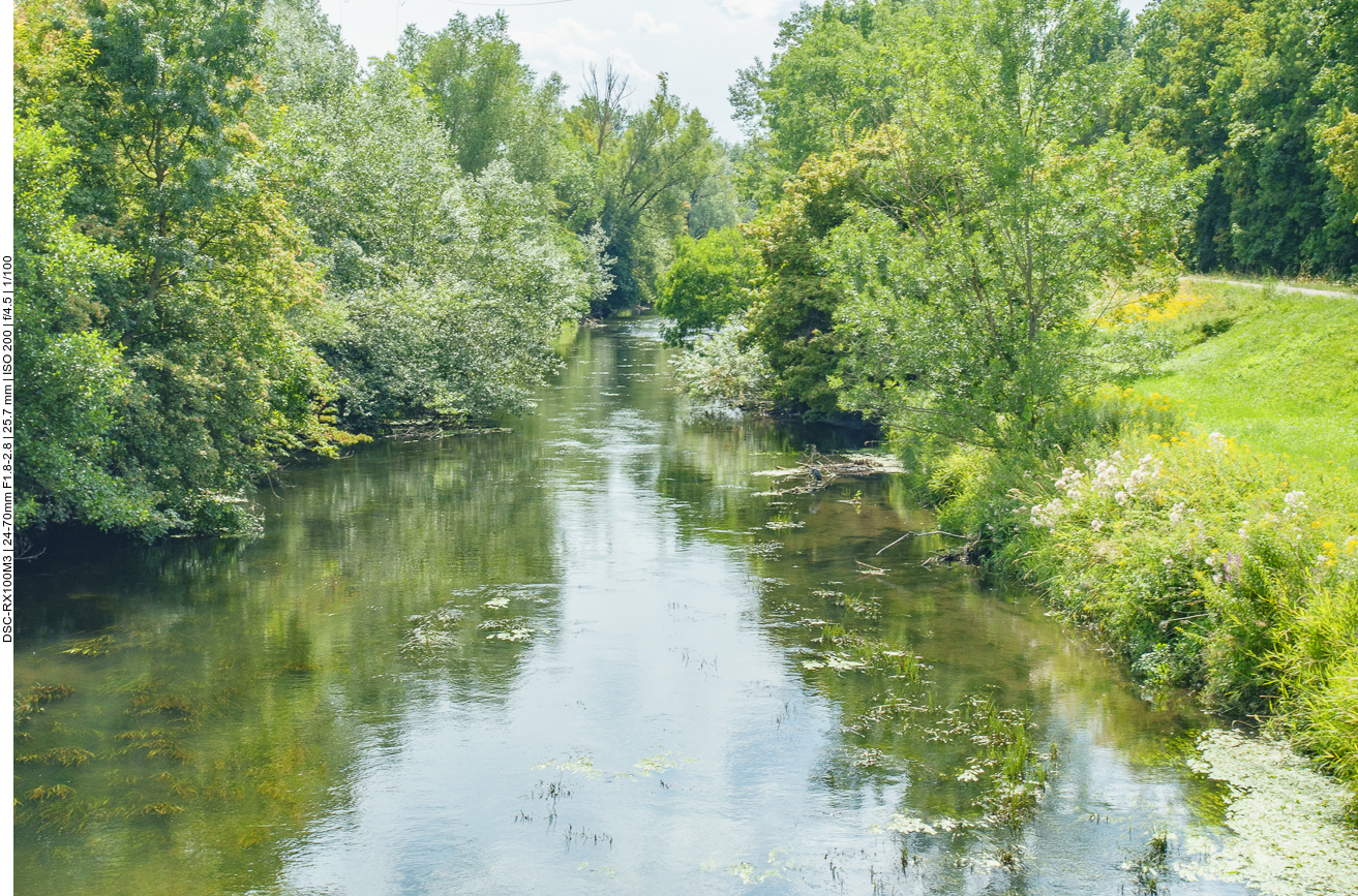 Die Alb kurz vor der M&uuml;ndung in den Rhein 
