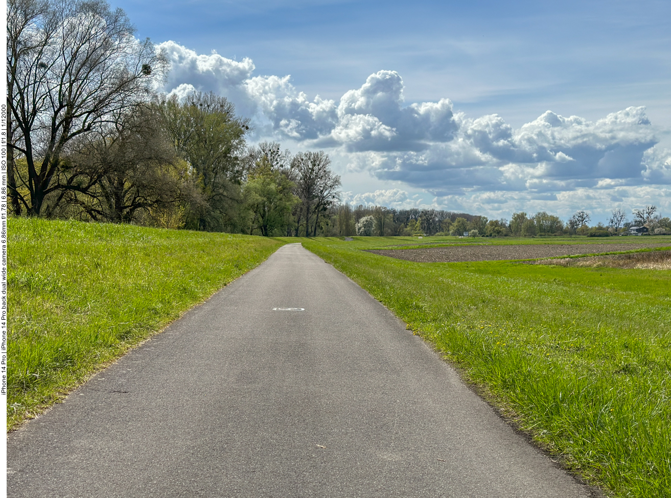 Links der Deich, rechts die Felder 