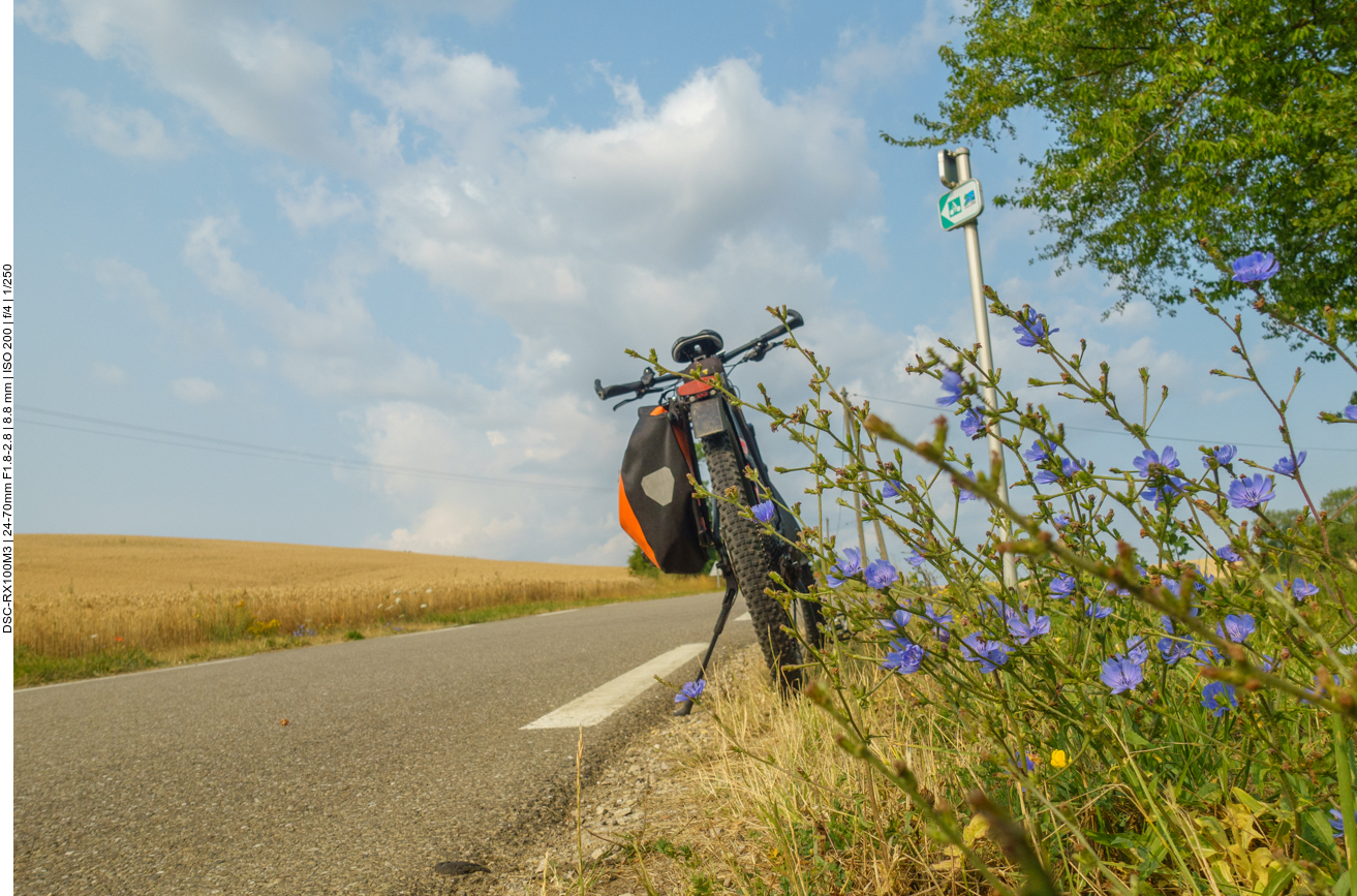 Auf einer blumigen Landstra&szlig;e 