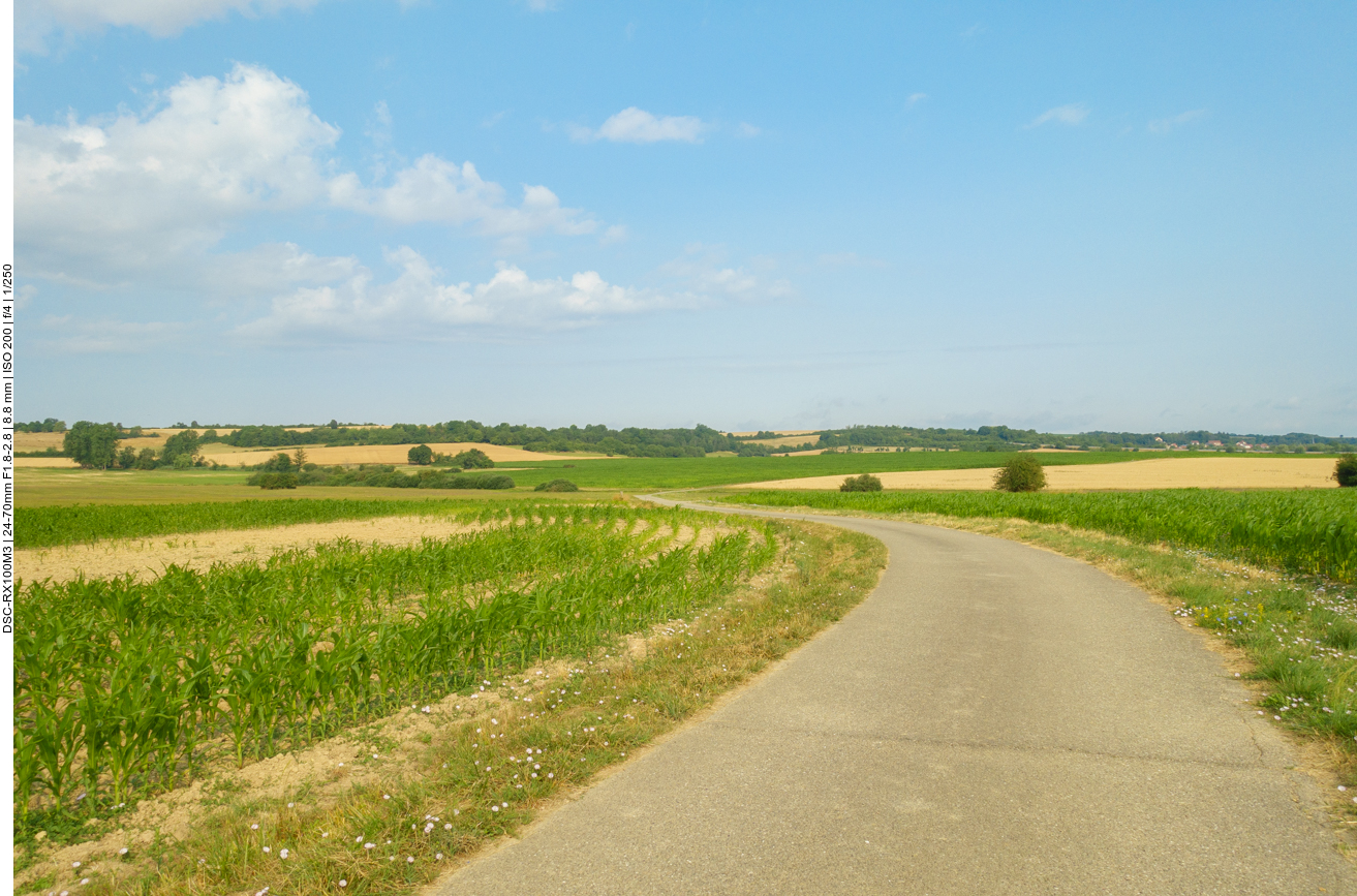 Weg durch die Felder 