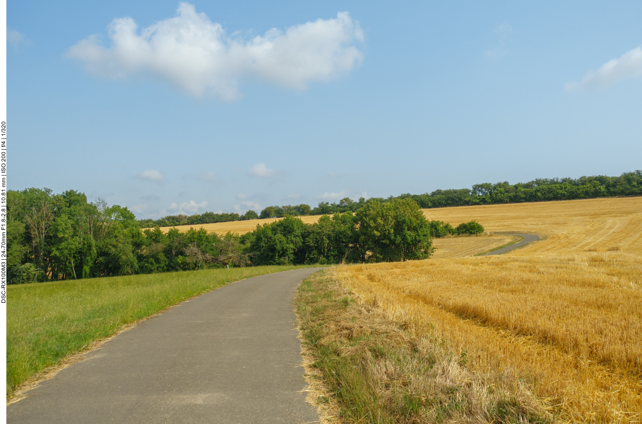 Mit stetigem auf und ab f&uuml;hrt der Weg Richtung Zweibr&uuml;cken 