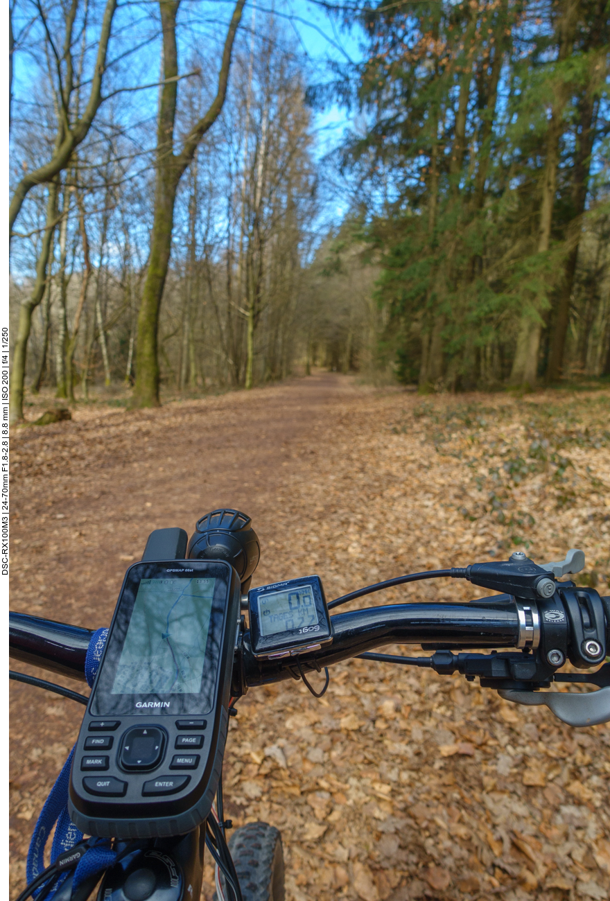 Zun&auml;chst geht es auf breiten Waldwegen voran 