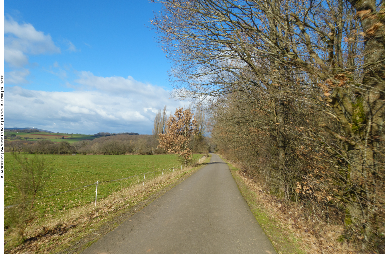 Einige Meter auf Teer ... 