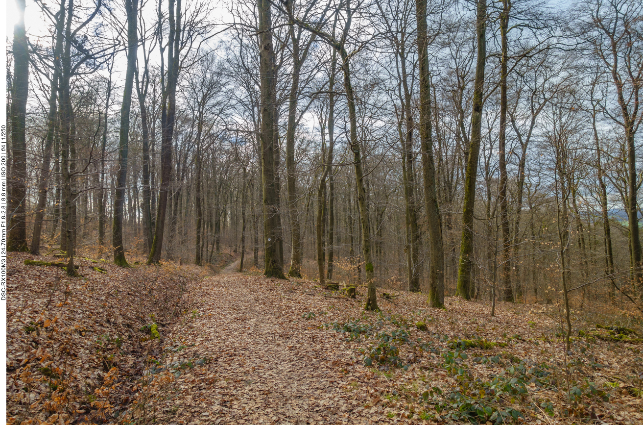 ... habe ich nicht abgelichtet :-( 